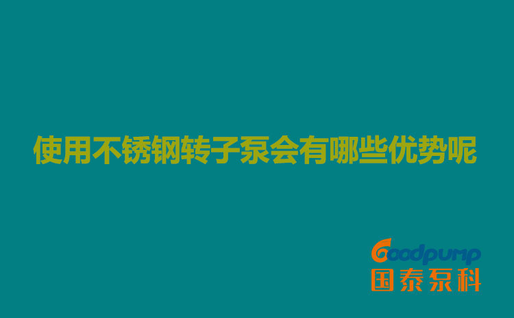 使用不銹鋼轉(zhuǎn)子泵會有哪些優(yōu)勢呢